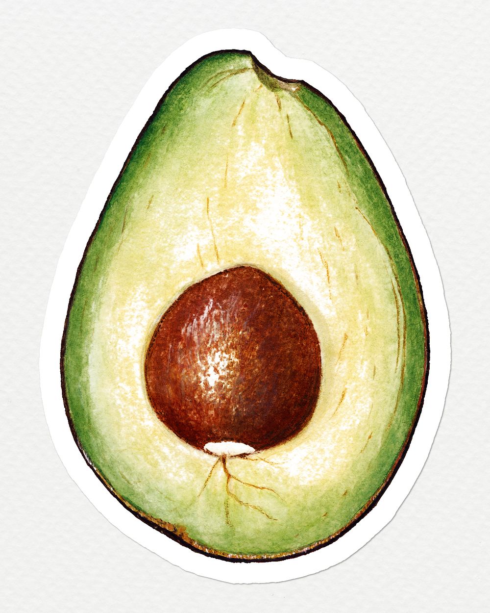 Hand drawn avocado sticker design element