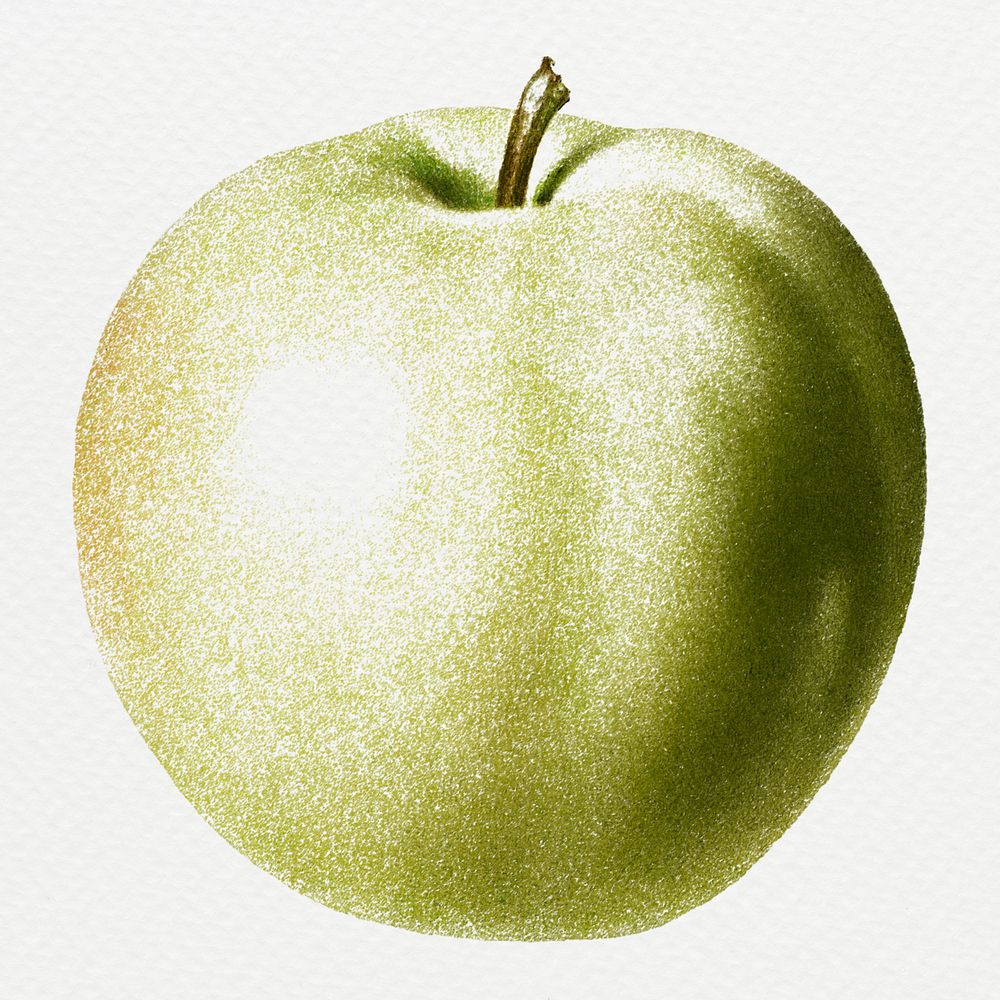 Hand drawn green apple design element