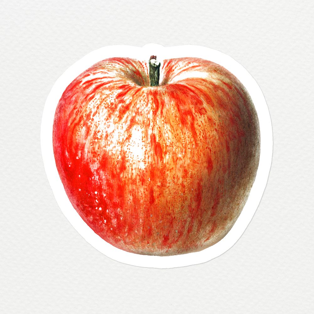 Hand drawn red apple sticker design element