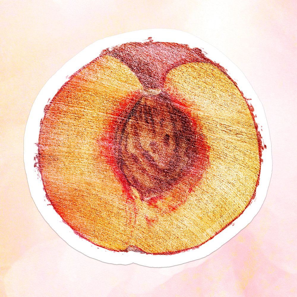 Hand drawn half of peach fruit sticker with white border