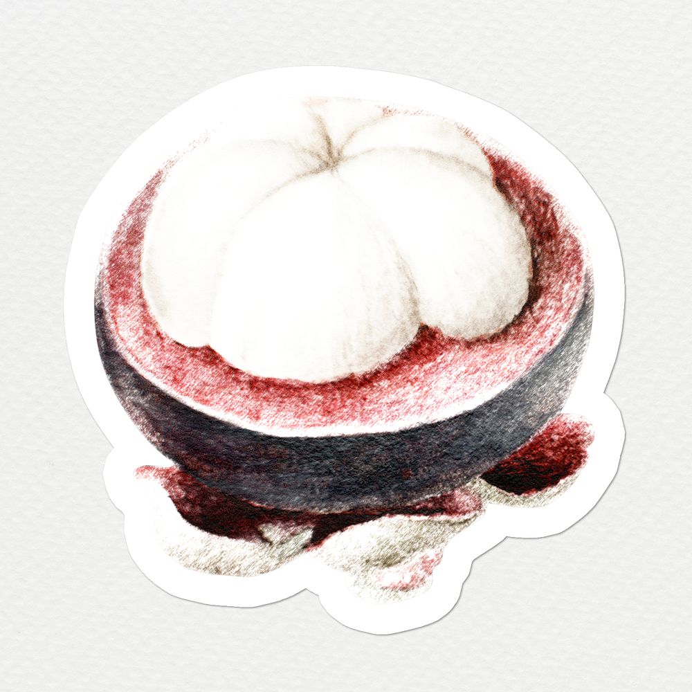 Hand colored mangosteen fruit sticker with white border