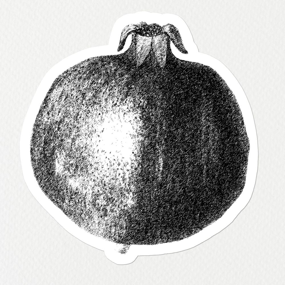 Hand drawn monotone pomegranate fruit sticker with white border