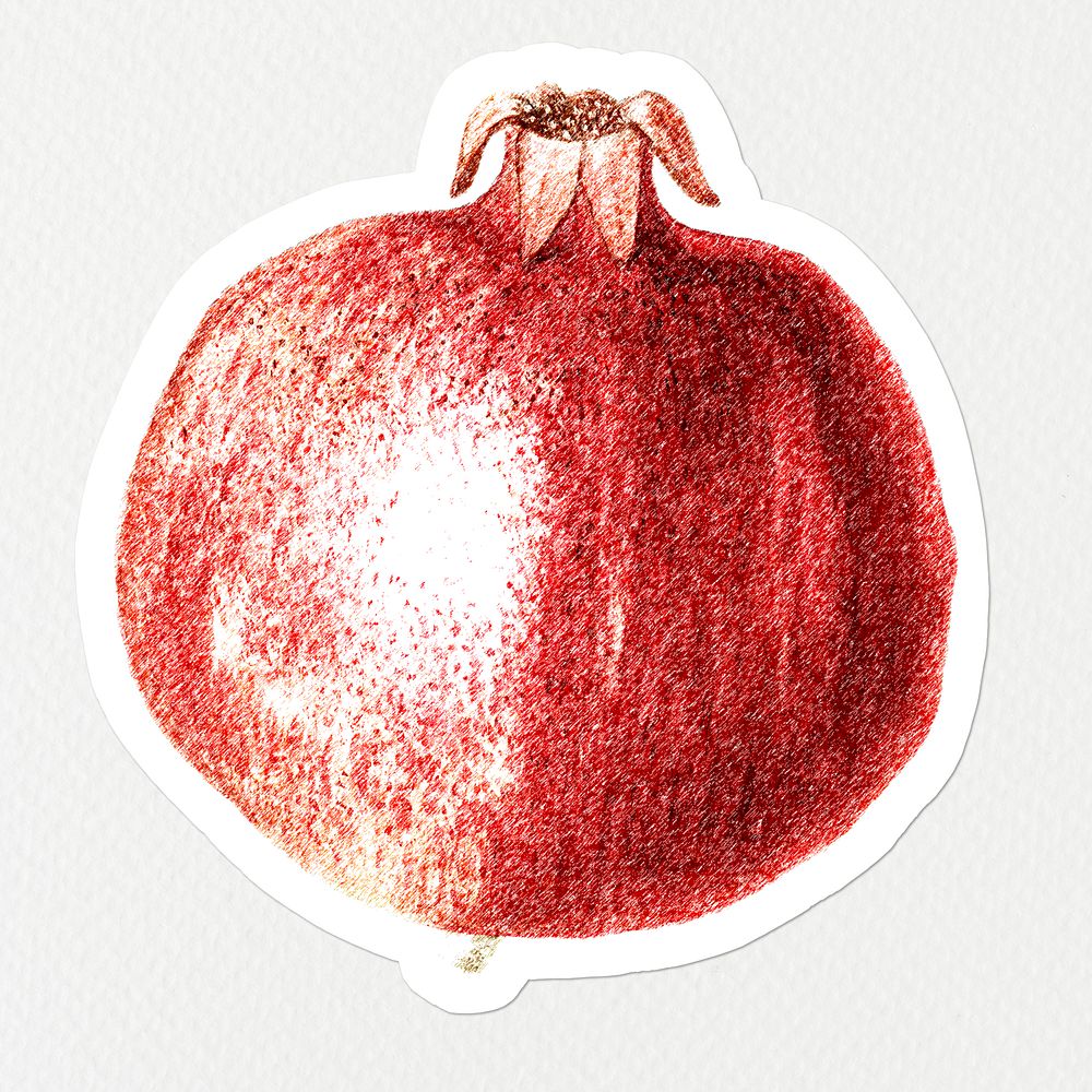 Hand colored red pomegranate fruit sticker with white border
