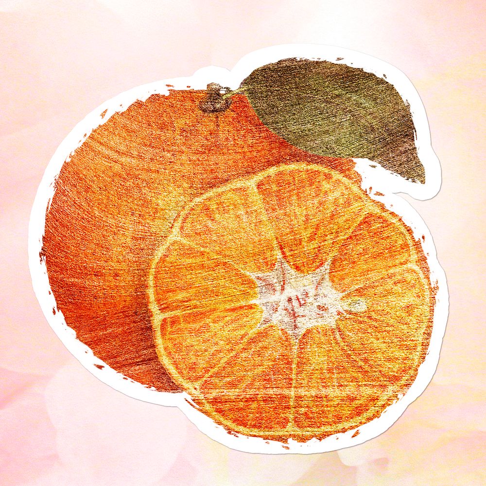 Hand drawn orange fruit brushstroke style sticker with a white border