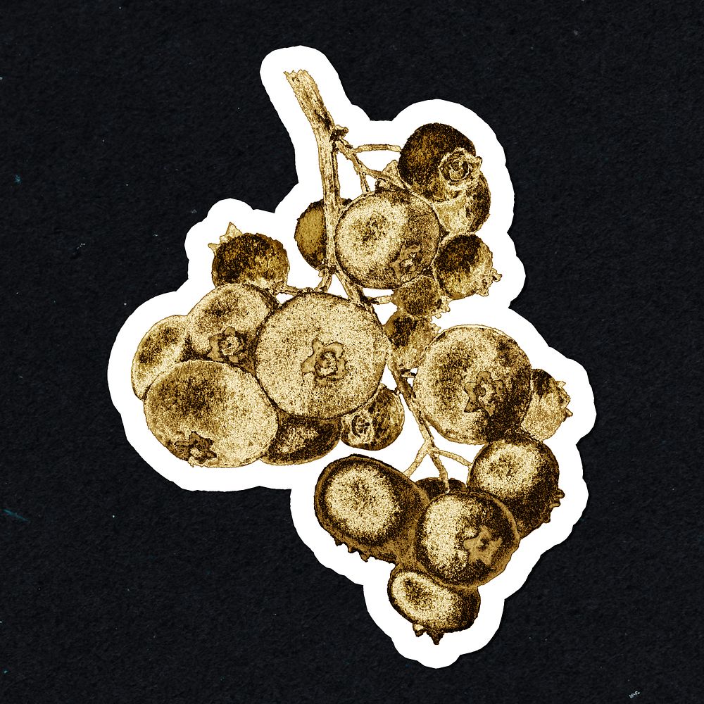 Gold blueberry fruit sticker with a white border
