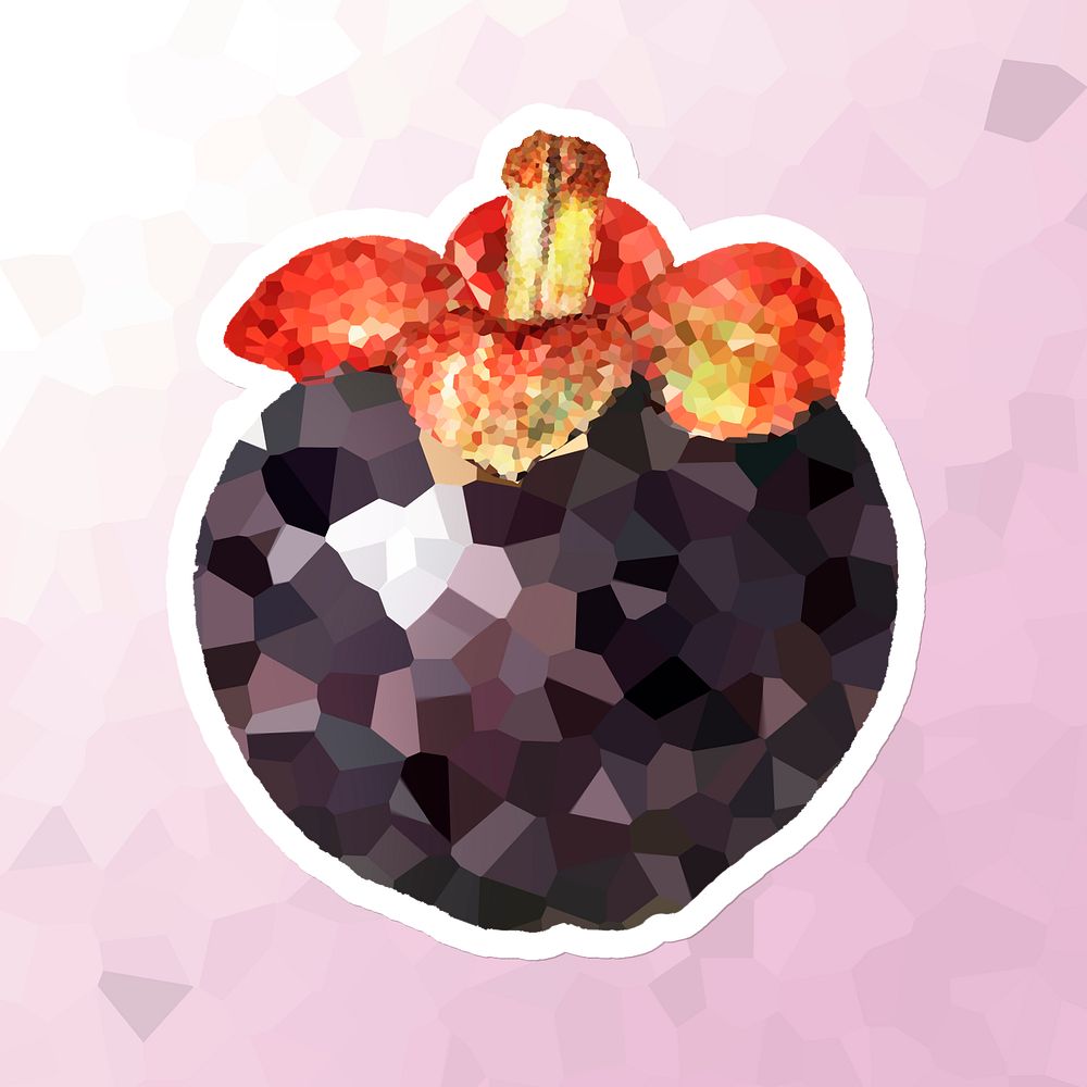 Mangosteen crystallized style sticker illustration