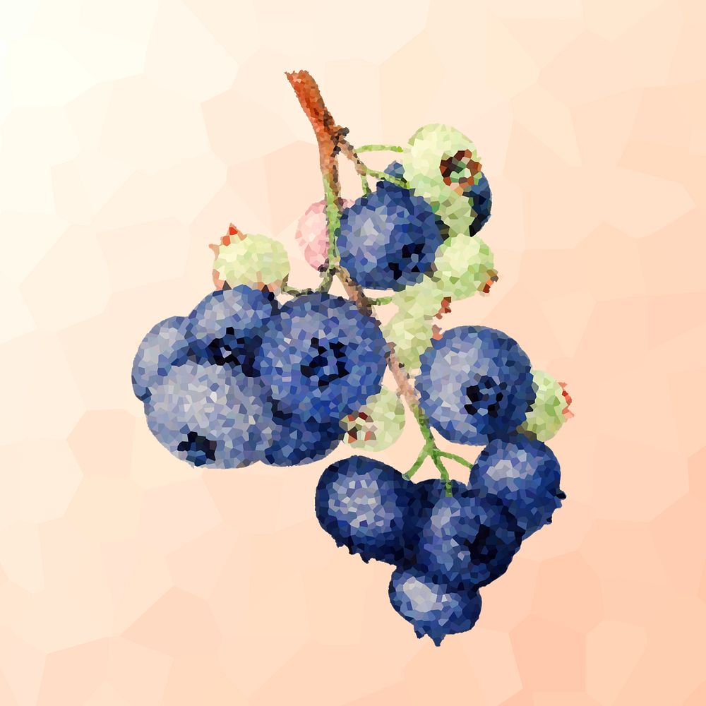 Branch of blueberries crystallized style illustration