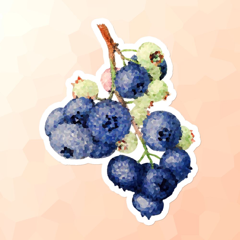 Branch of blueberries crystallized style sticker illustration