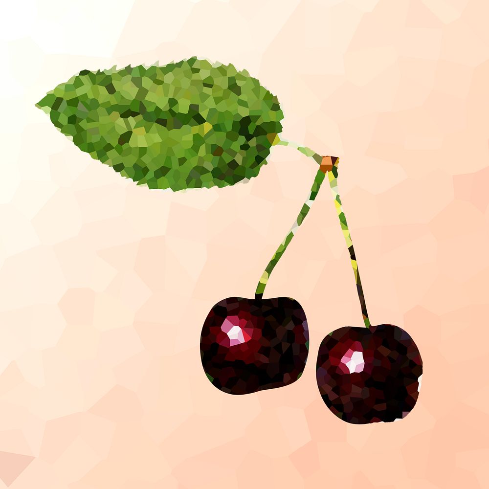 Black cherries crystallized style illustration