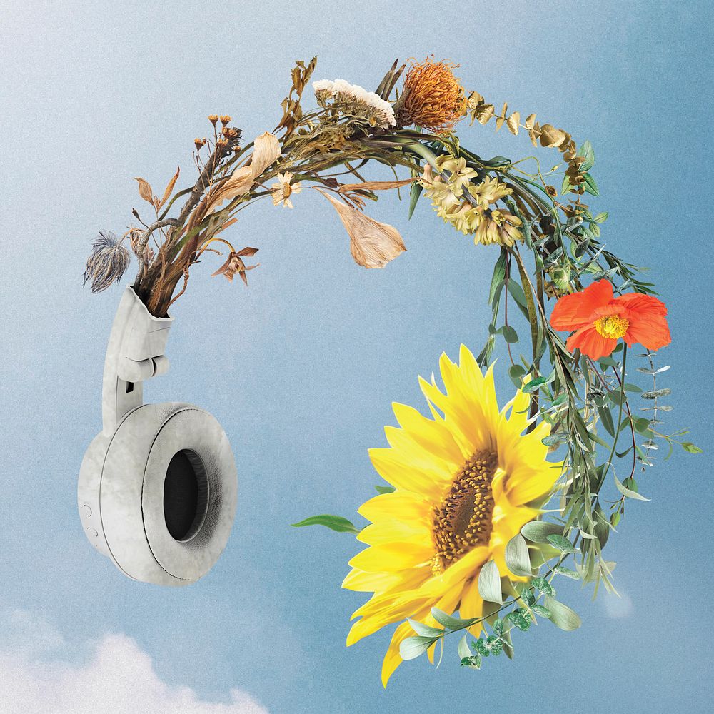 Blooming flower headphones in a blue sky