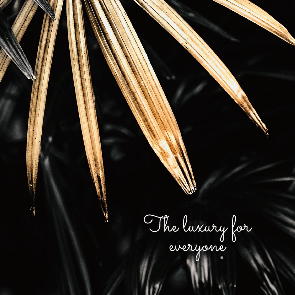 The luxury for everyone on a golden palm leaves background design resource 