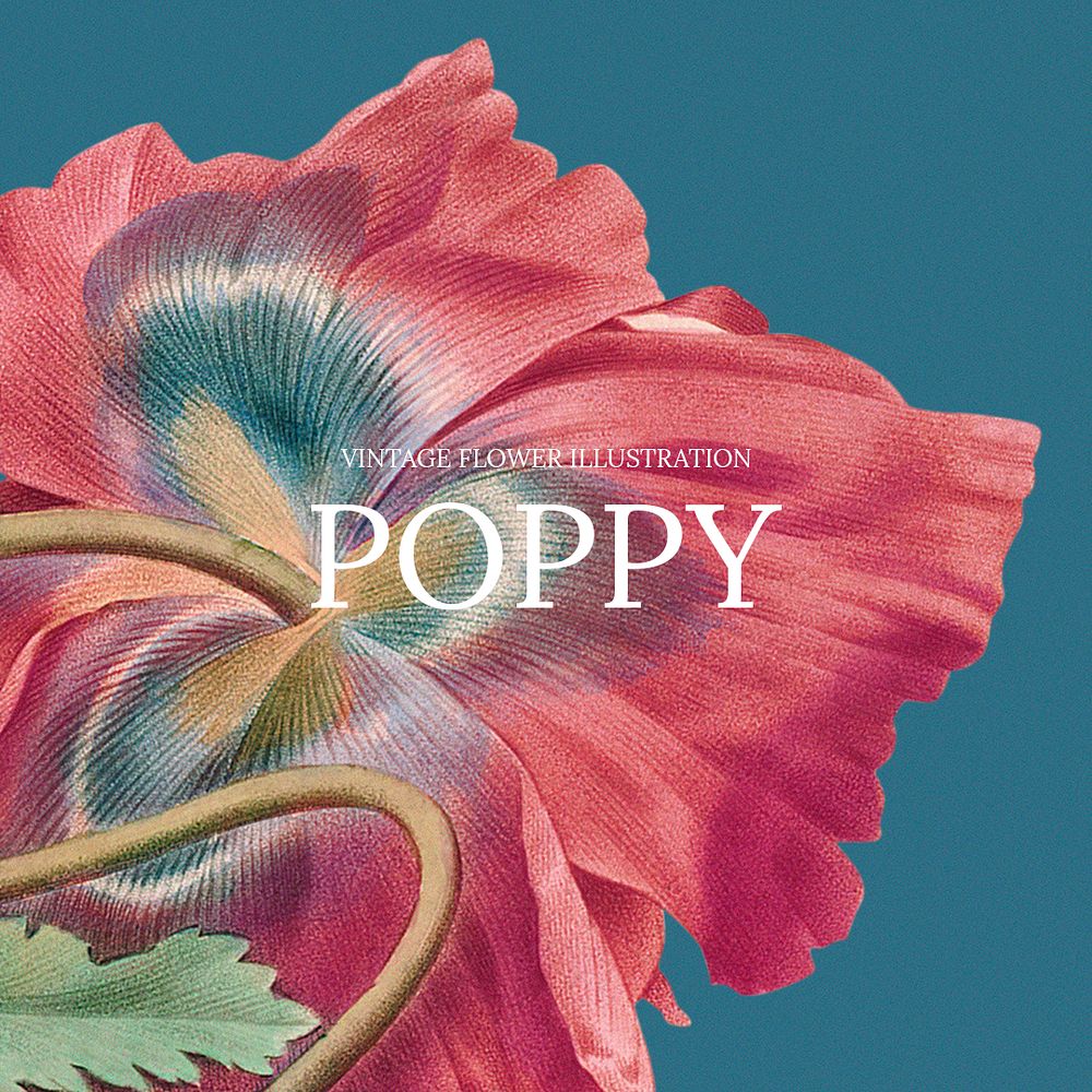 Vintage floral template psd with poppy background, remixed from public domain artworks