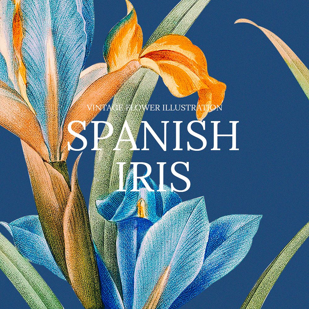 Floral hand drawn template psd with spanish iris background, remixed from public domain artworks