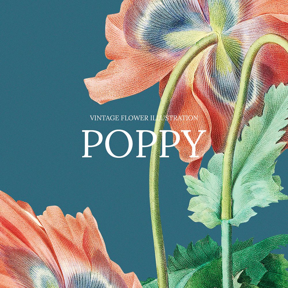 Floral hand drawn template psd with poppy background, remixed from public domain artworks