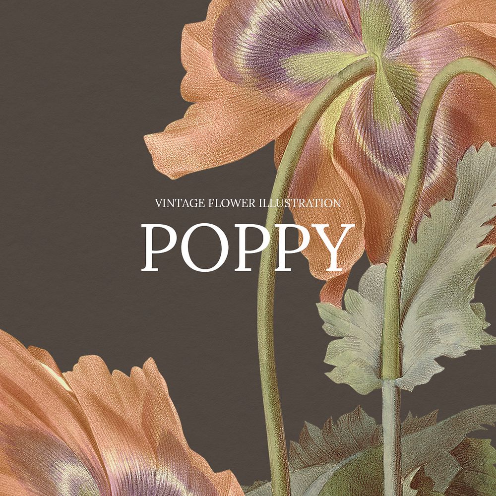 Vintage floral template psd illustration with poppy background, remixed from public domain artworks