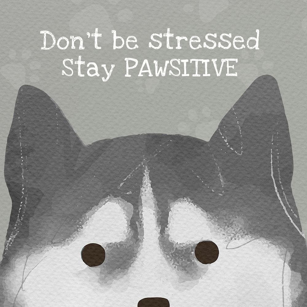 Siberian Husky template psd cute dog quote social media post, don't be stressed stay pawsitive