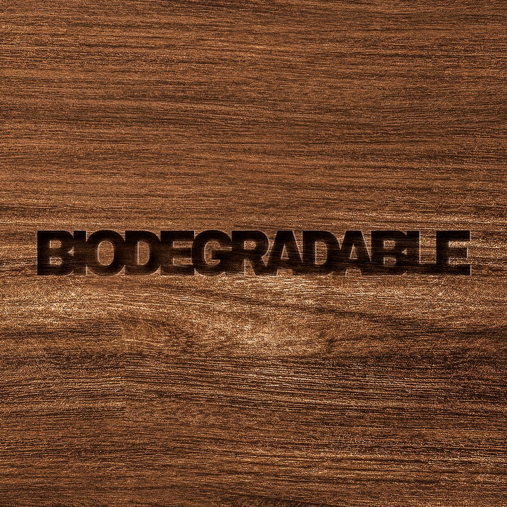 Biodegradable engraved wood typography on wooden background
