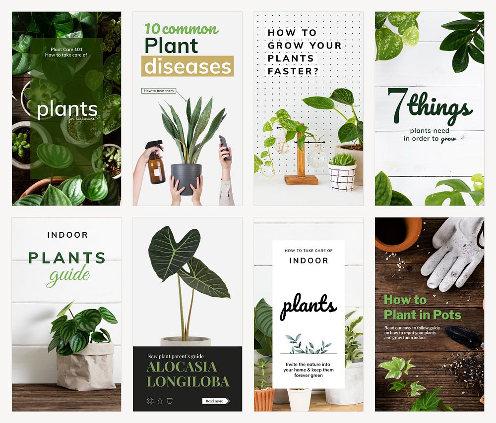 Plant parent beginner template psd guide set
