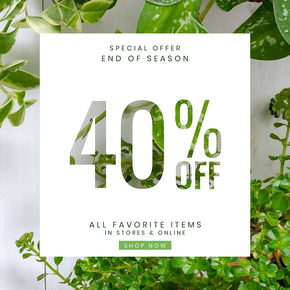 Online houseplant shop template psd with 40% off promotion