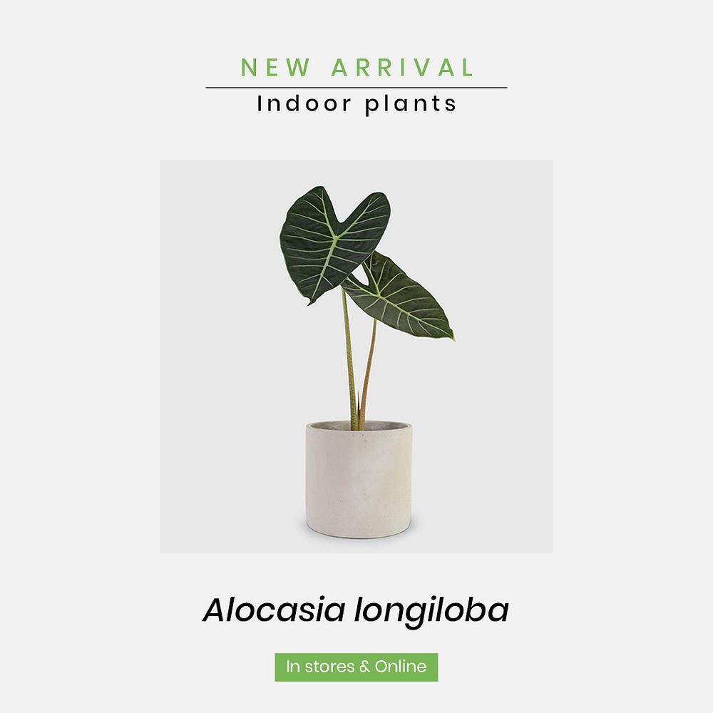 Online houseplant shop template psd for new arrival