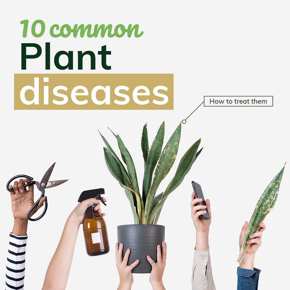 Common plant diseases template psd