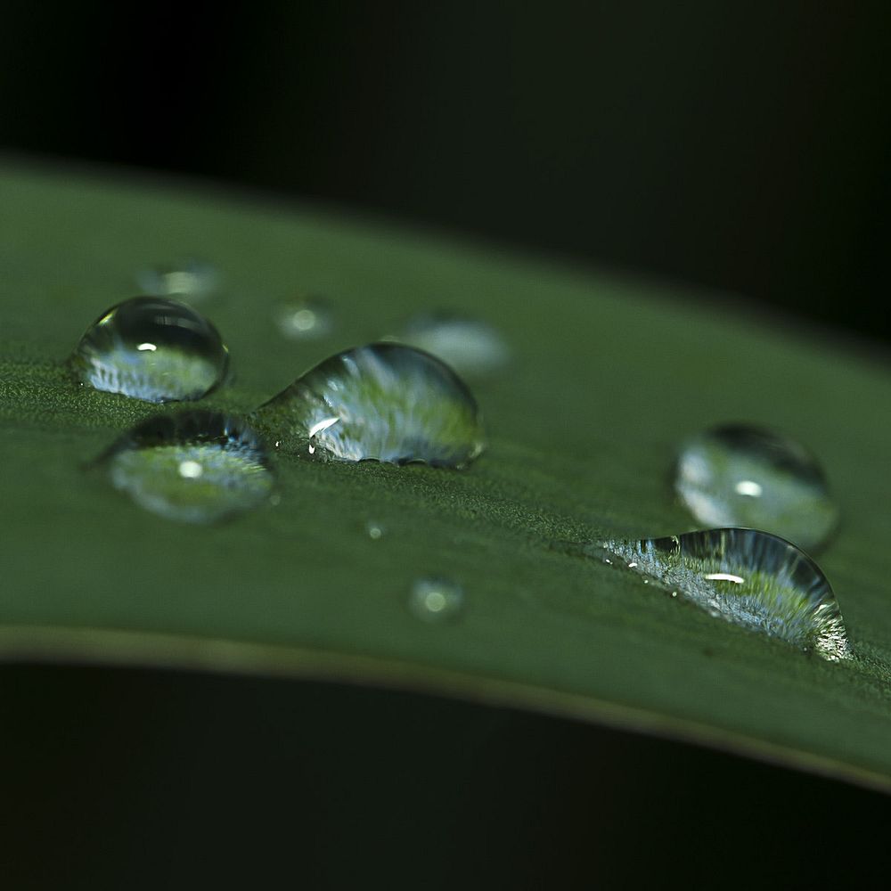 Droplets. Original image from Wikimedia Commons