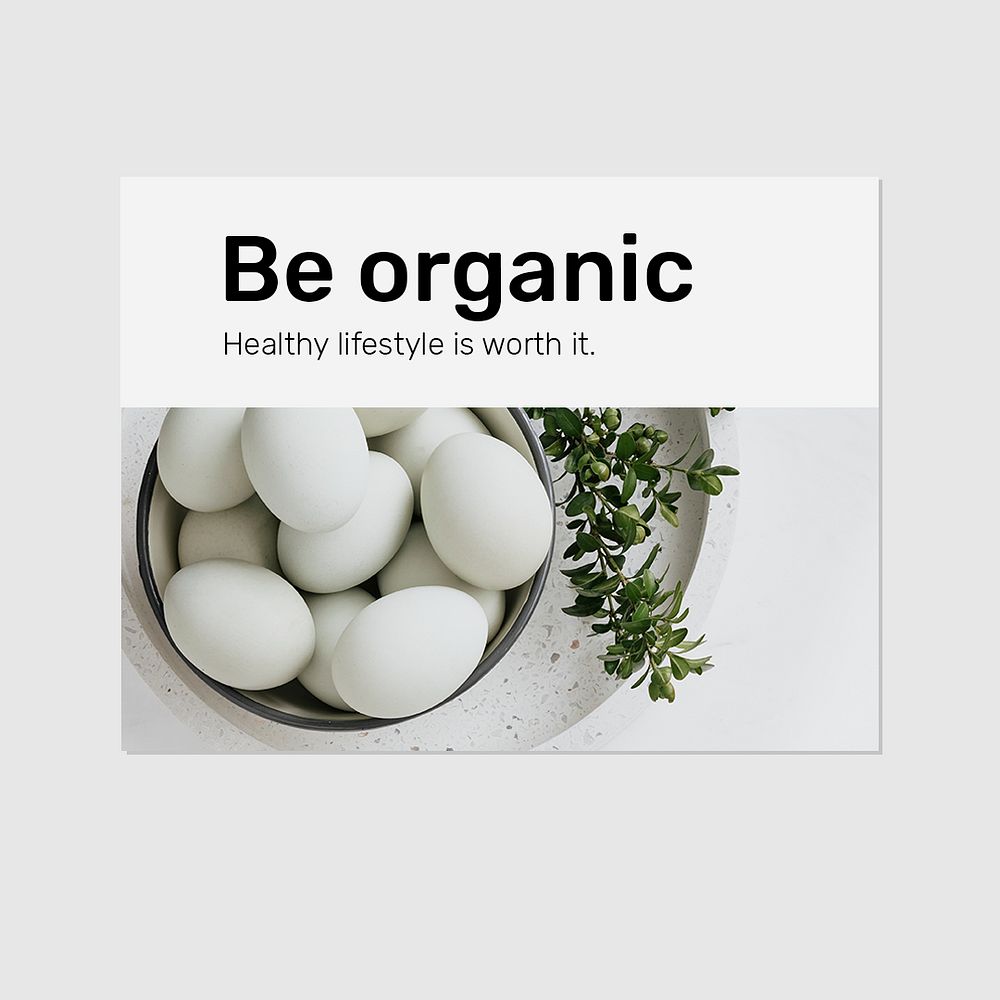 Organic food banner template psd