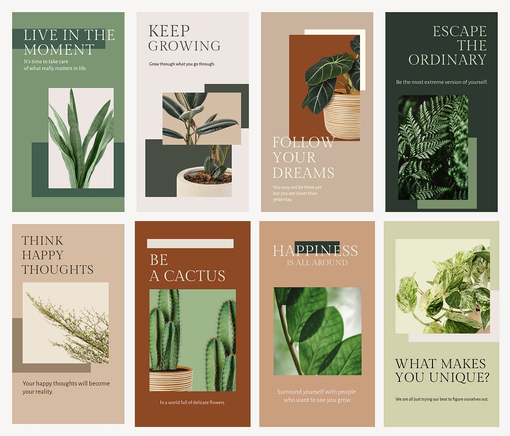 Botanical plant inspirational template psd social media story in minimal style set
