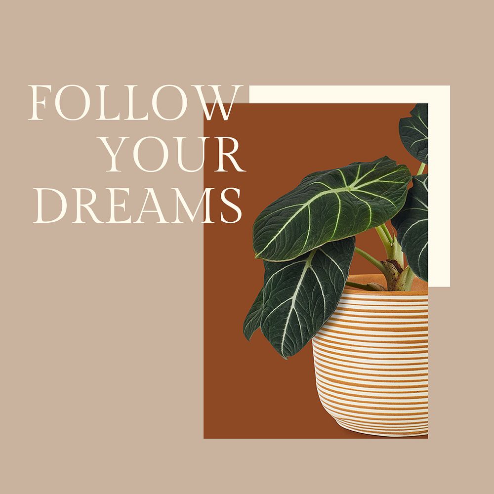 Inspirational quote botanical template psd with plant follow your dreams social media post in minimal style