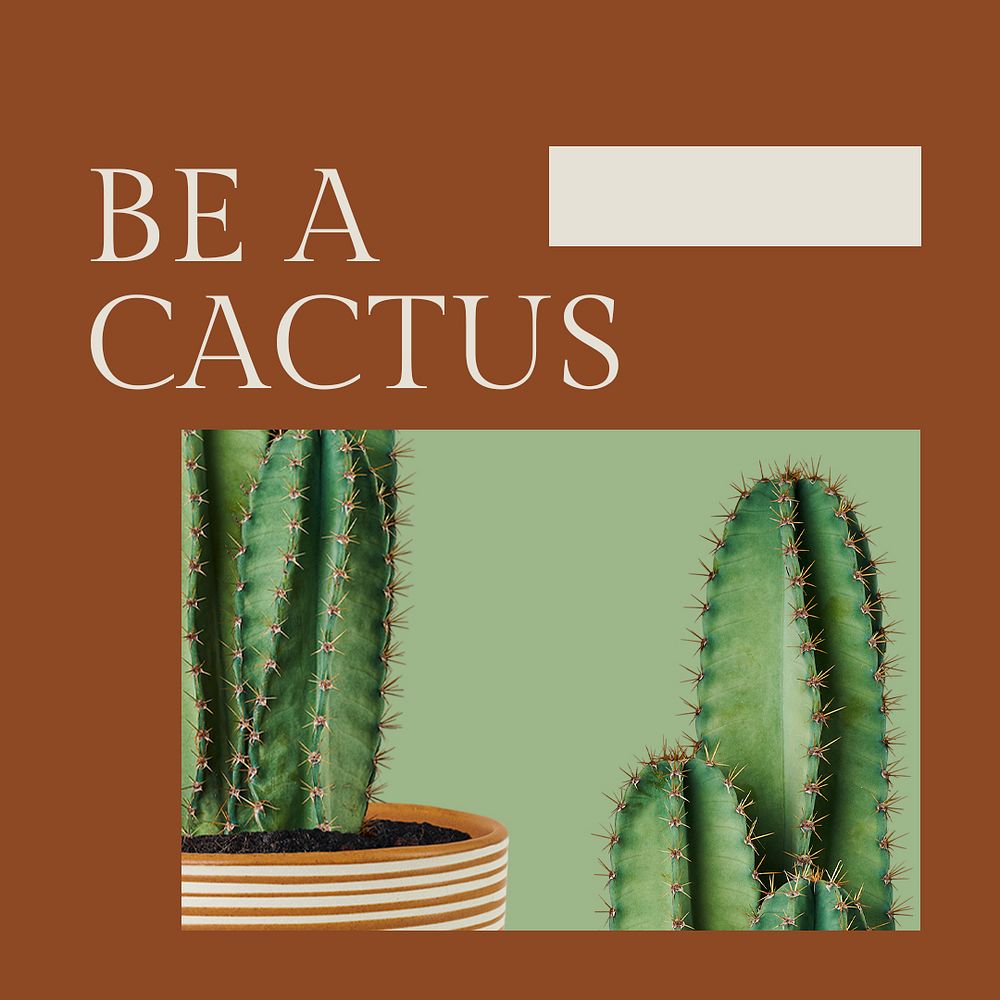 Inspirational quote botanical template psd with cactus social media post in minimal style