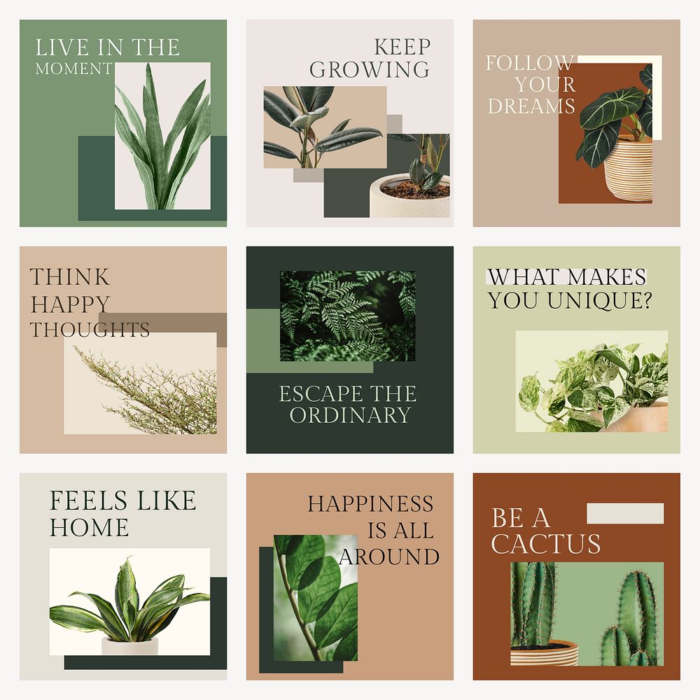 Botanical plant inspirational template psd social media post in minimal style set