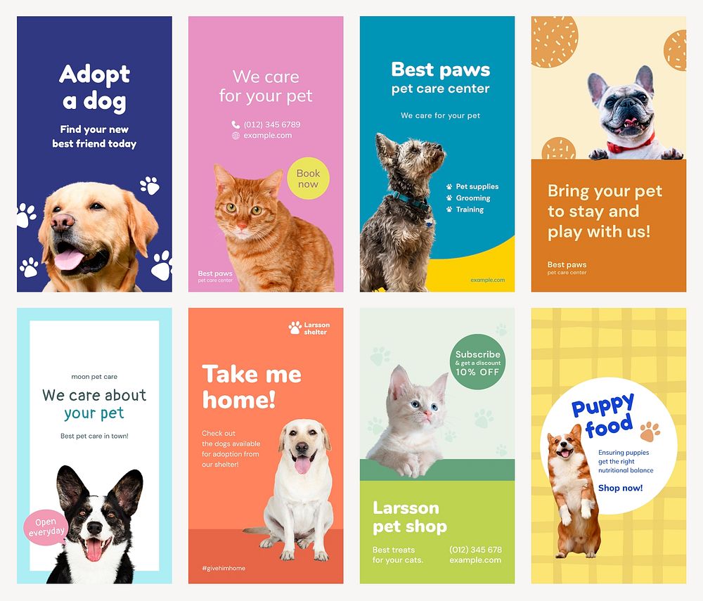 Pet care Instagram post templates for social media advertisement set psd