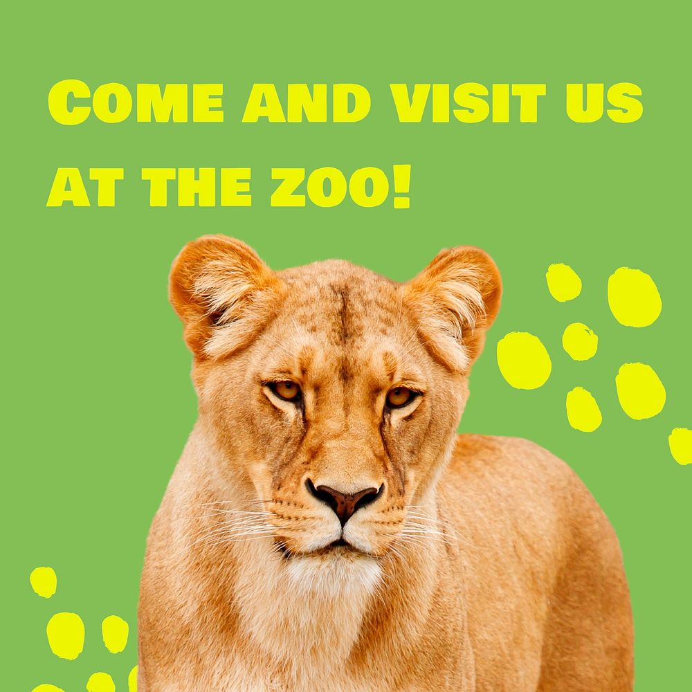 Zoo visiting Instagram post template for social media advertisement vector