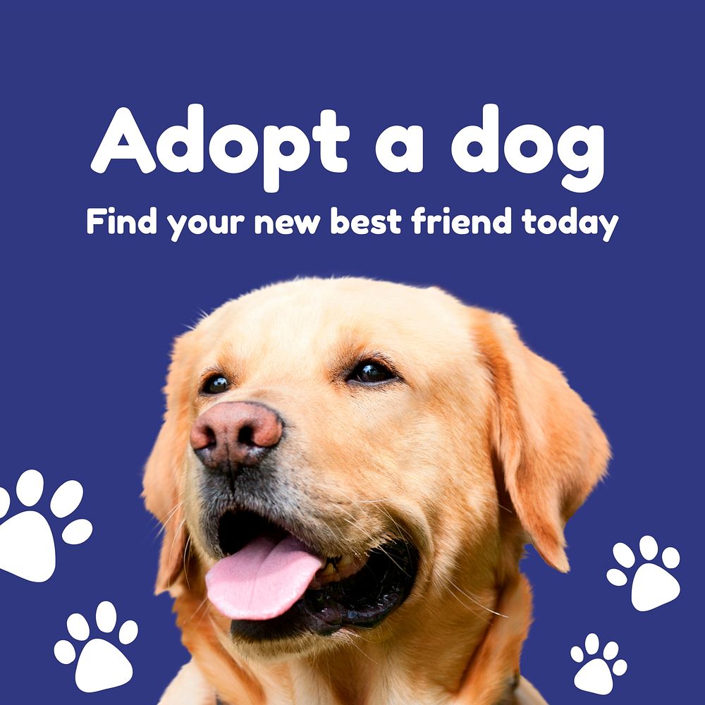 Dog adoption Instagram ad template for social media advertisement vector