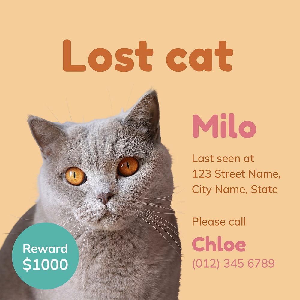 Lost cat Instagram ad template for social media psd