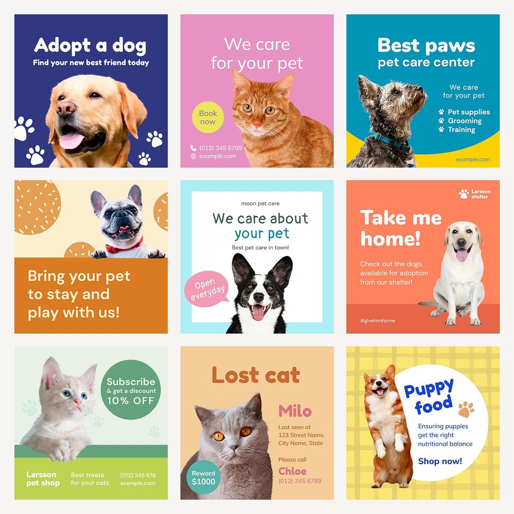 Pet care Instagram ad templates set psd