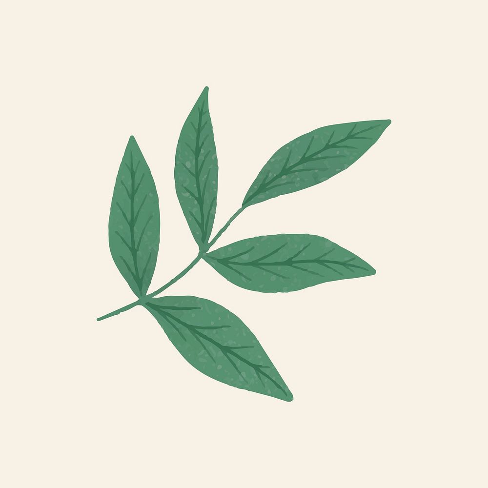 Green leaf sticker, botanical illustration vector