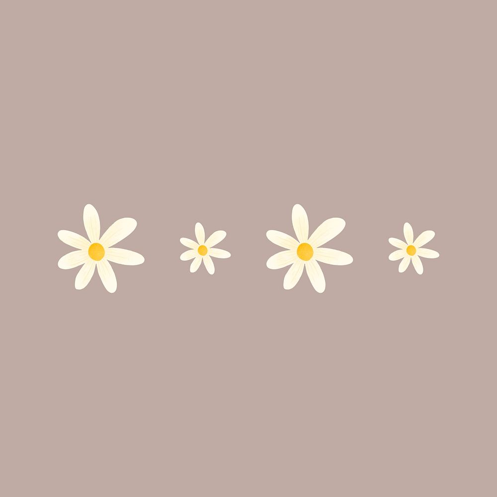 Daisy border sticker, cute flower clipart vector