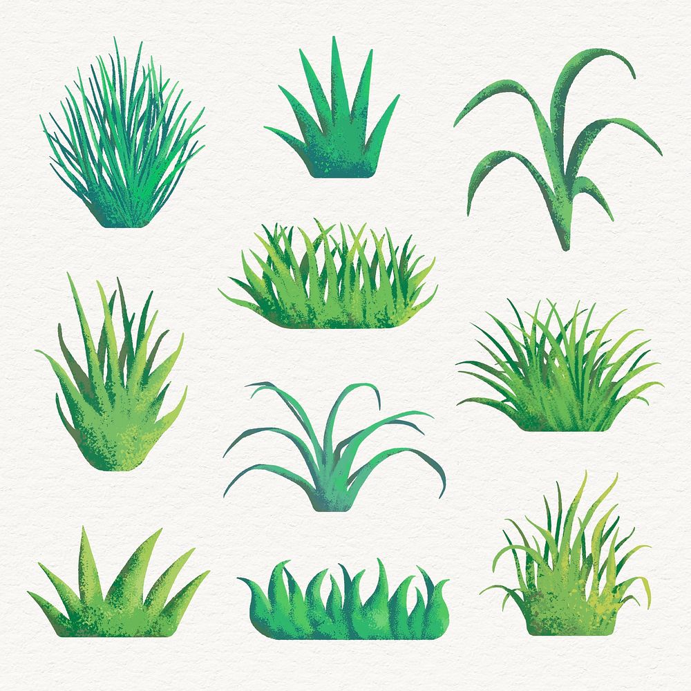 Grass clipart, aesthetic nature design psd set