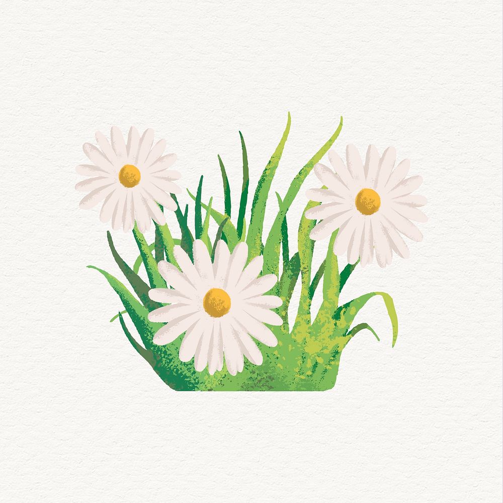 Daisy flower clipart, aesthetic nature design psd