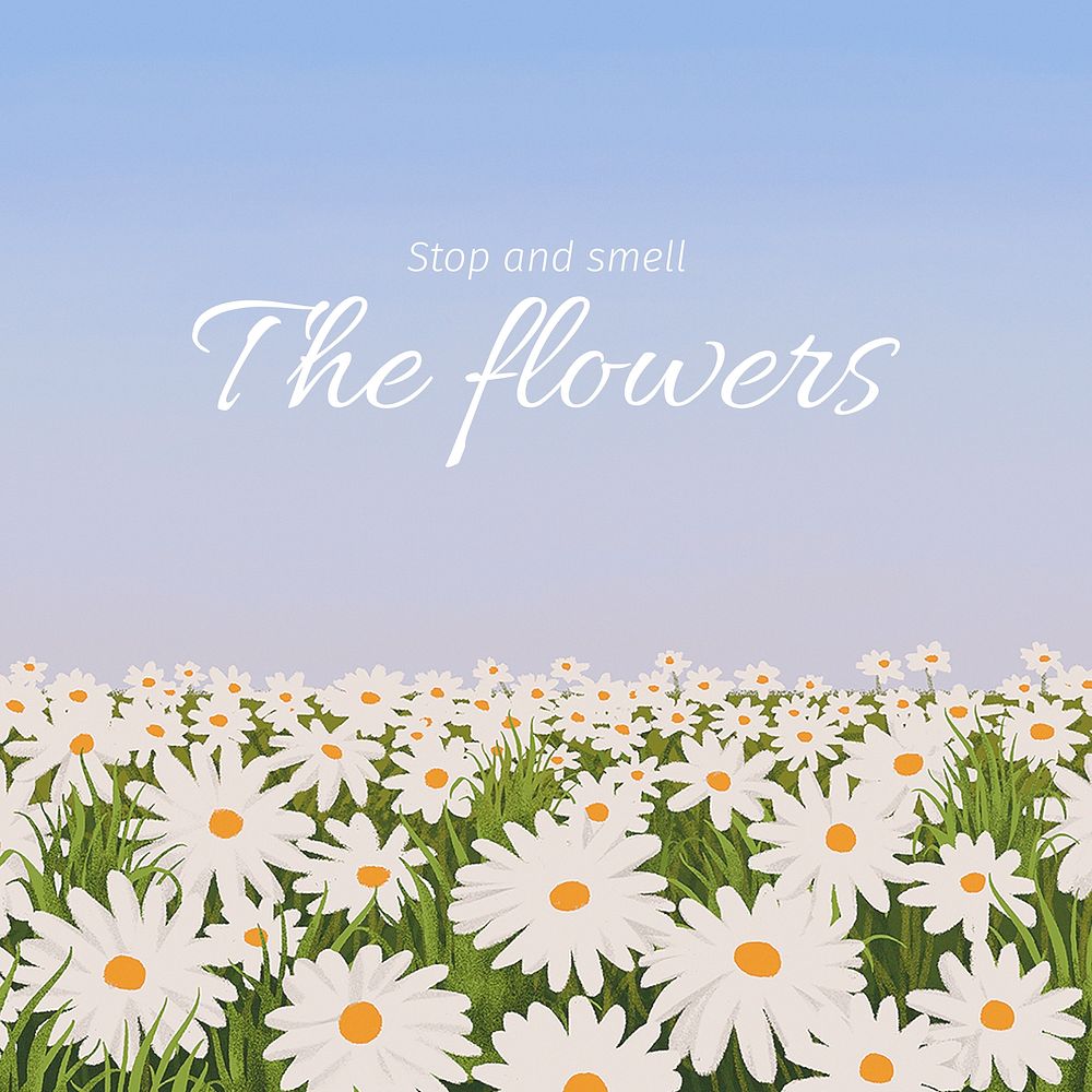 Stop and smell the flowers, aesthetic quote and nature design