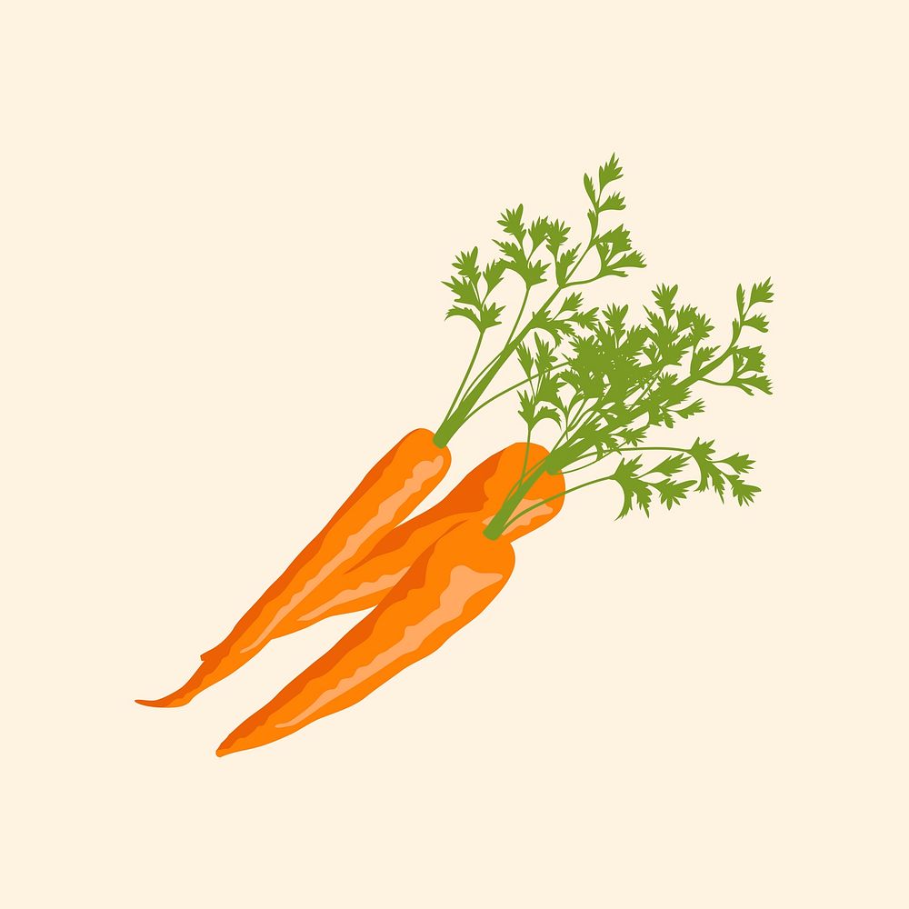 Carrots collage element, realistic illustration, healthy vegetable vector
