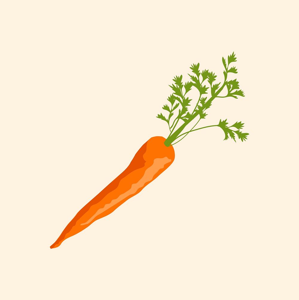 Carrot collage element, realistic illustration, healthy vegetable psd