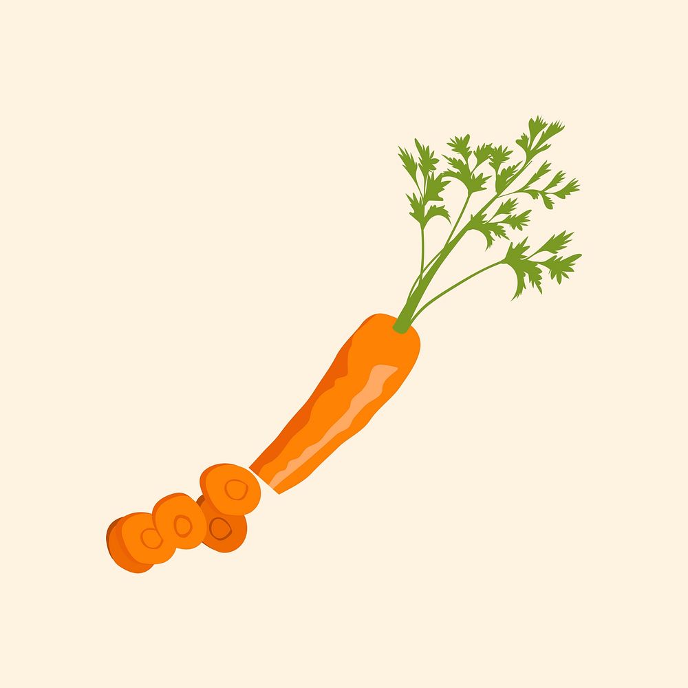 Carrot realistic illustration, healthy vegetable