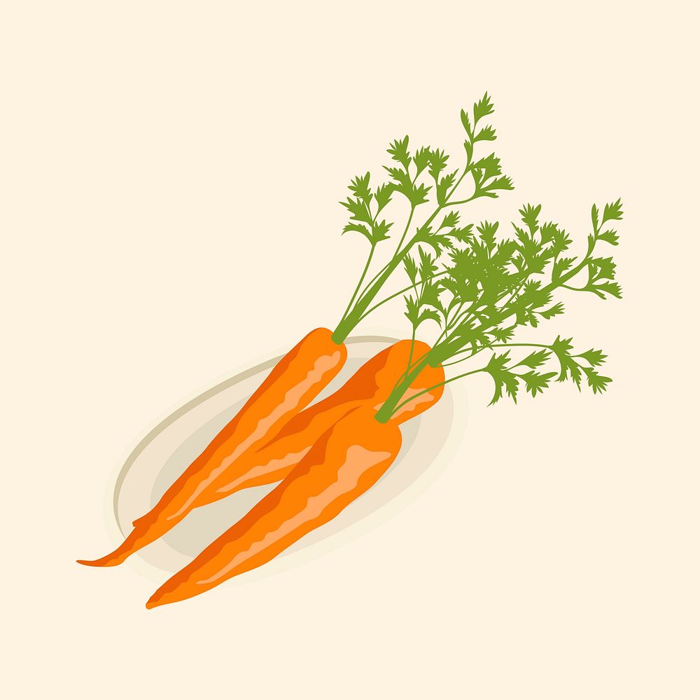 Carrots collage element, realistic illustration, healthy vegetable vector