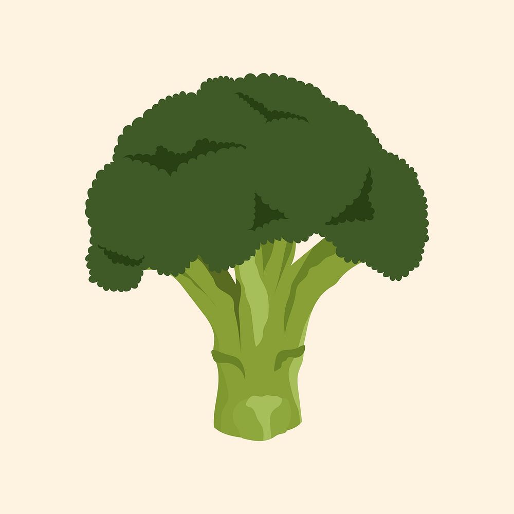 Broccoli realistic illustration, healthy vegetable