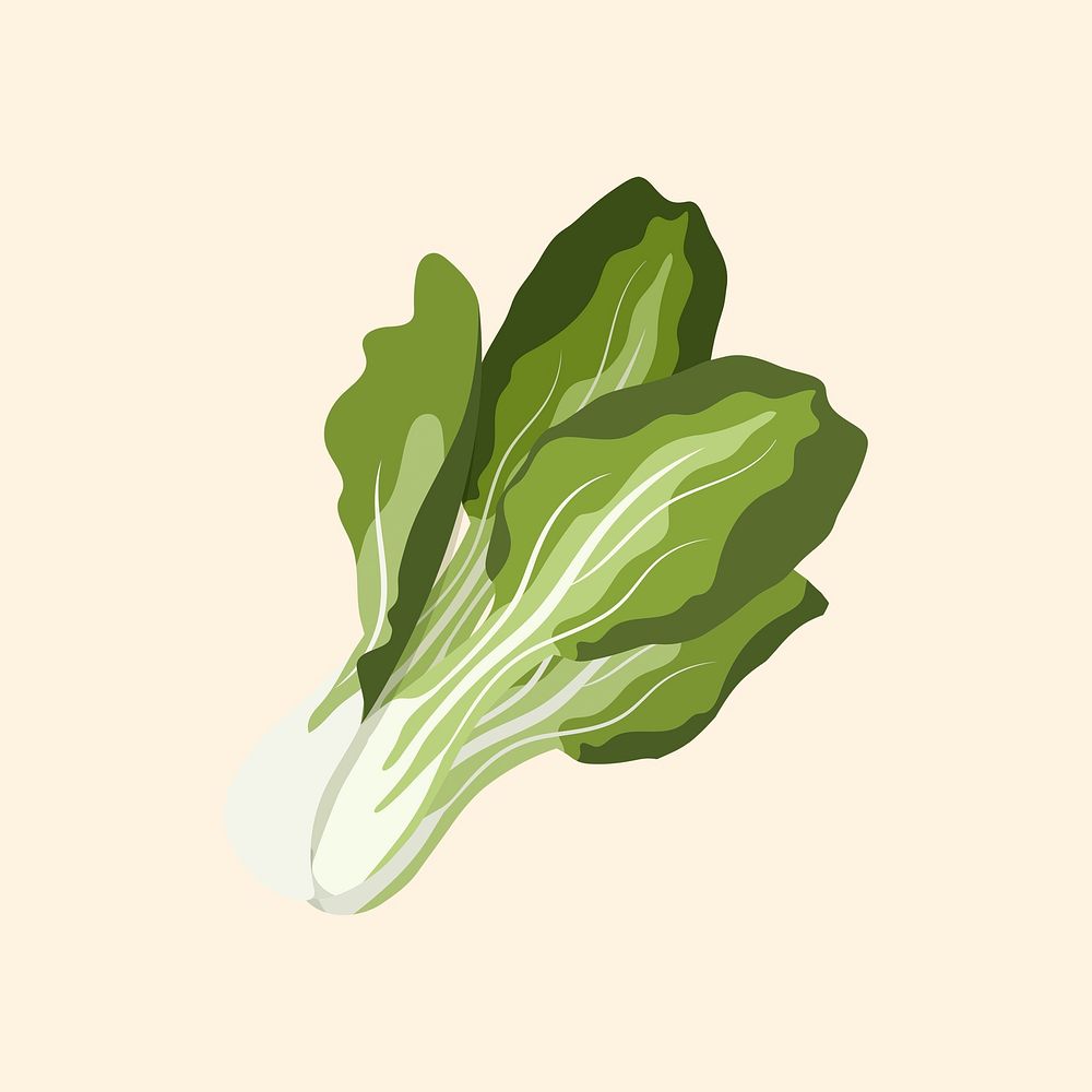 Bok choy collage element, realistic illustration, healthy vegetable vector