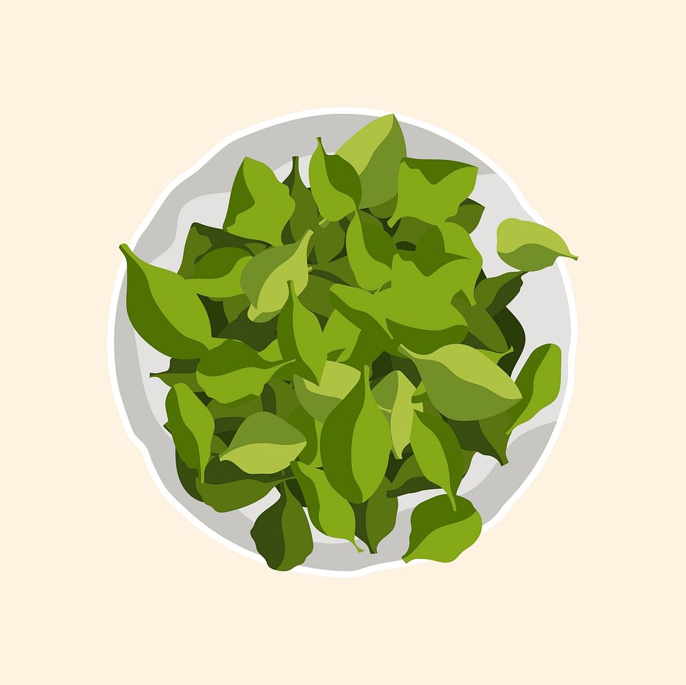 Spinach salad collage element, realistic illustration, healthy food vector