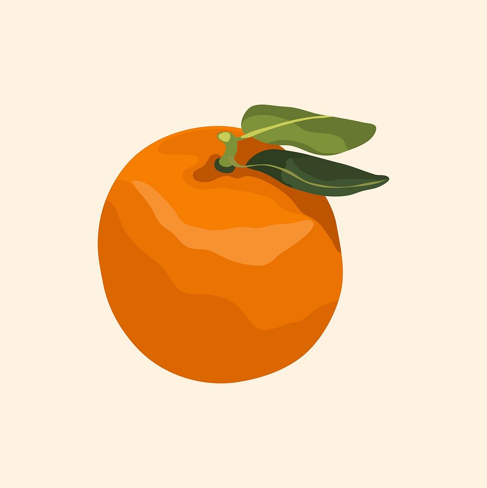 Orange collage element, realistic illustration, healthy fruit psd