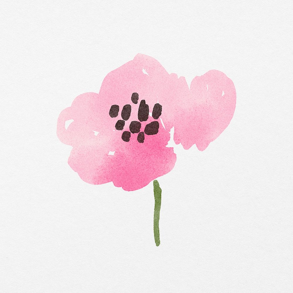 Cute pink flower, watercolor hand painted design